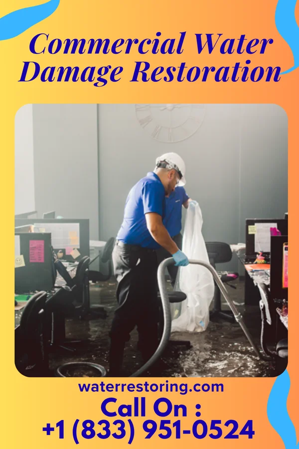 Commercial Water Damage Restoration in Ludlow, KY