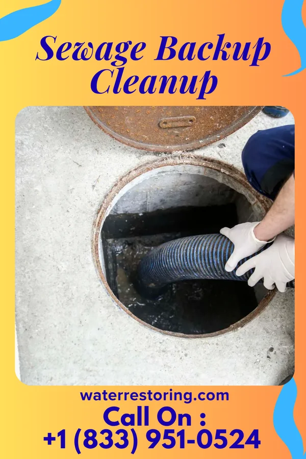 Sewage Backup Cleanup in Ludlow, KY