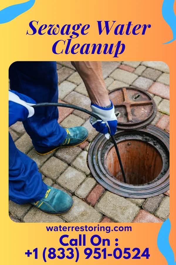 Sewage Water Cleanup in Ludlow, KY